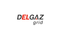 Delgaz Grid